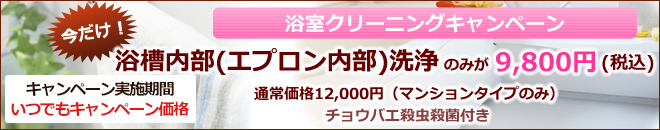 浴槽内部(エプロン内部)洗浄9800円